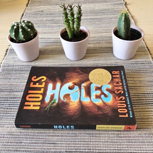 Holes By Louis Sachar - Picture 6 of 7